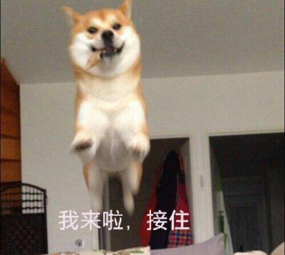 心心