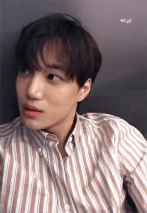 EXO 金钟仁 KAI  动图 cr：warm_garcon