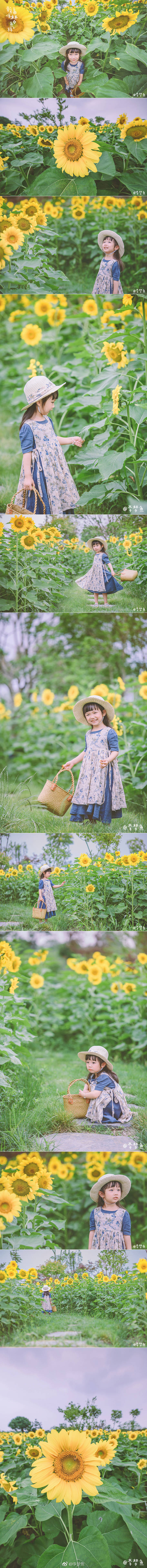 幸福像梦鱼一样
2018年6月10日 星期日
云层遮住了太阳 向日葵有些迷茫
努力渗出的光束 让花儿美丽绽放
无论晴天或阴天 幸福像梦鱼一样
～JoJo 4岁2个月
侵删。