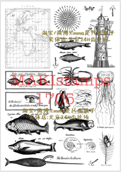 现货德国MAKI stamp makistamps 海洋生物 航海 鱼类复古胶皮印章