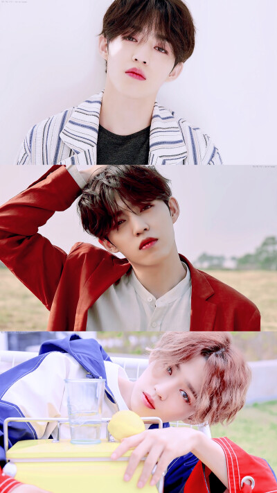 Seventeen 崔胜澈S.coups 