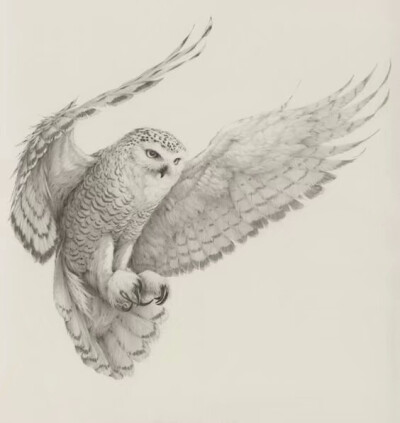来自英国艺术家 Vanessa Foley 绘画作品一组