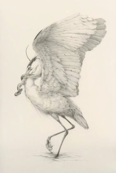 来自英国艺术家 Vanessa Foley 绘画作品一组