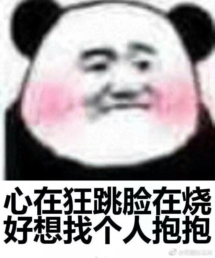 哎呀呀呀