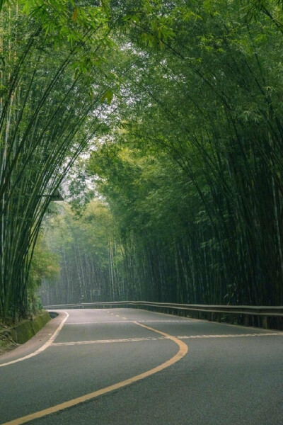 蜀南竹海，可以想象在夏天的闷热突然感受到来自竹林间一阵清风的舒爽！ ​​​​