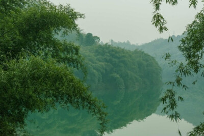 蜀南竹海，可以想象在夏天的闷热突然感受到来自竹林间一阵清风的舒爽！ ​​​​