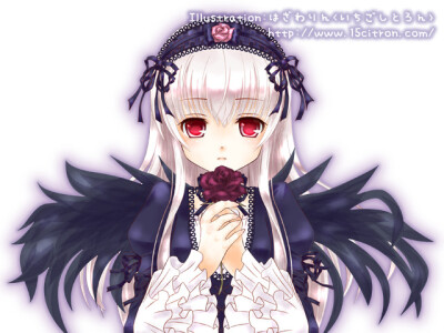 蔷薇少女薔薇少女ローゼンメイデン Rozen Maiden [薔薇少女系列的第一人偶 水銀燈]