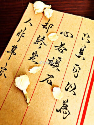 ，潇洒