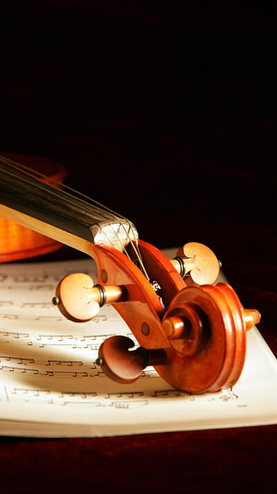 优秀的小提琴本身也是一件杰出的艺术品，每一个细节都散发着高雅的气息。