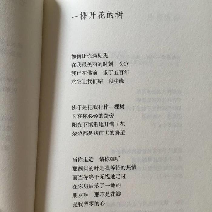 诗歌