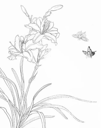 白描花碟谱