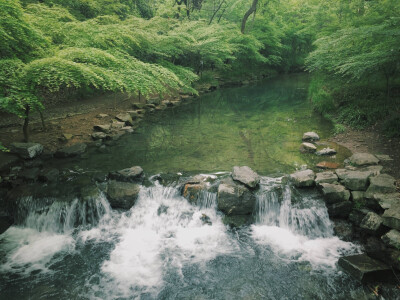 浮生引摄影