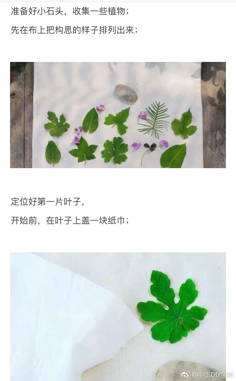 用一种最原始的方式，教你如何成为植物的打印机。 ​