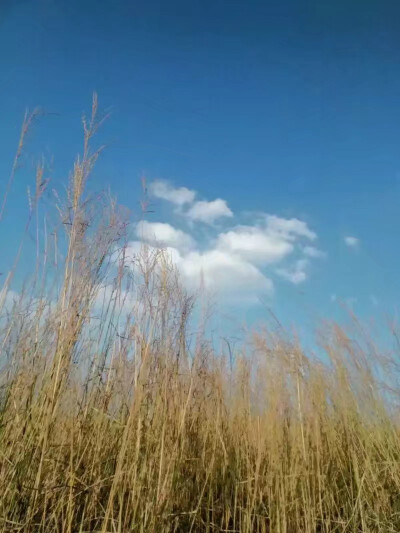 2016年11月20日，郴州市飞天山，和唐姑娘来次说走就走的旅行·