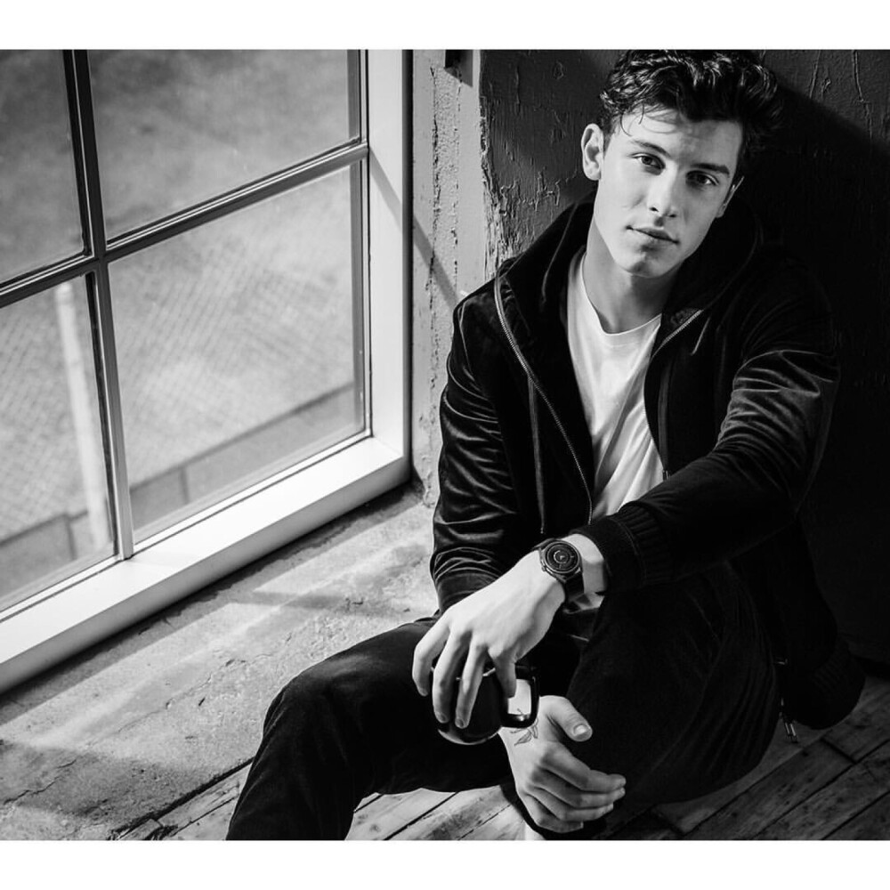 Shawn Mendes 萌德