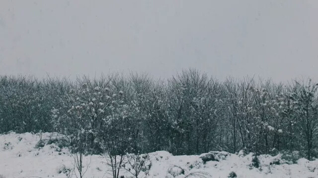 【大哉一诚天下动】南京大学の雪景