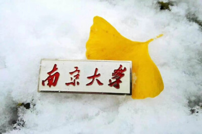 【大哉一诚天下动】南京大学の雪