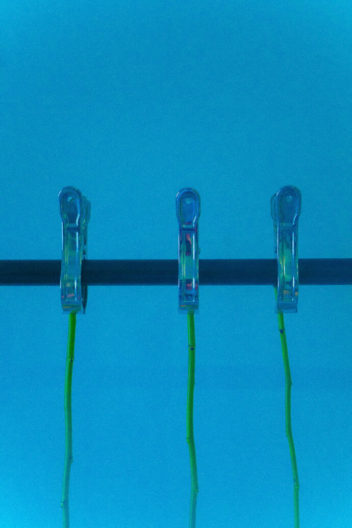 作者@尼脑子瓦特啦