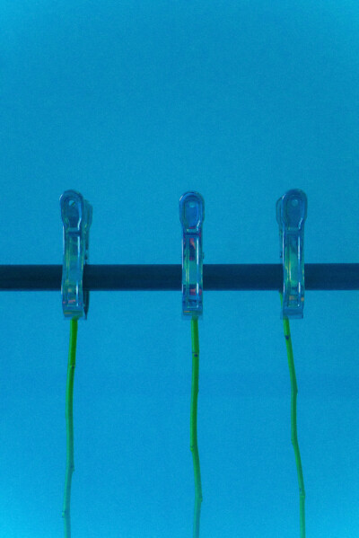 作者@尼脑子瓦特啦