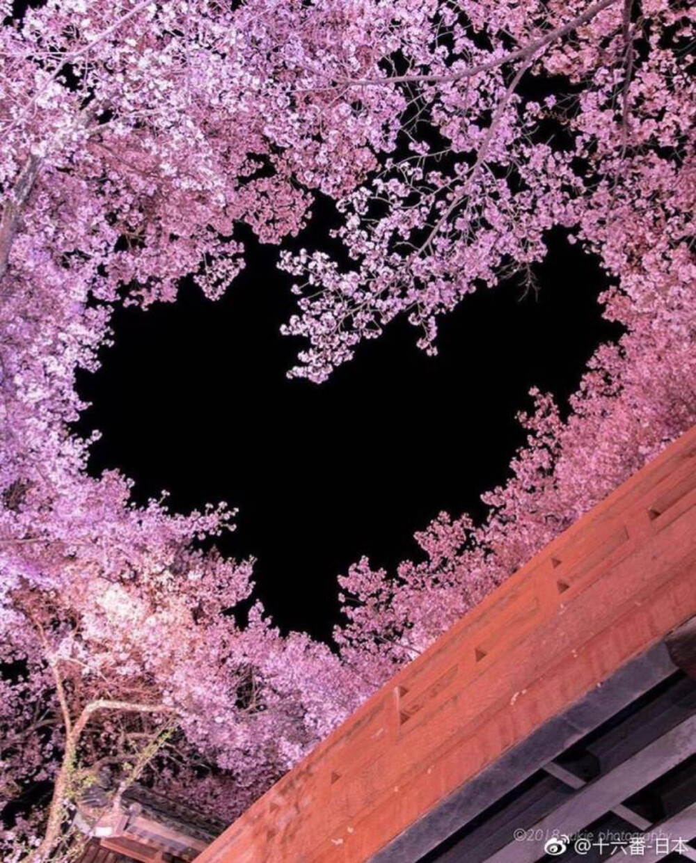 桜 日本