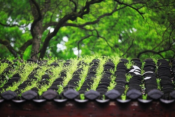 若晴天和日，就静赏闲云。若雨落敲窗，就且听风声。若流年有爱，就心随花开。若时光逝却，就珍存过往… ​​​​