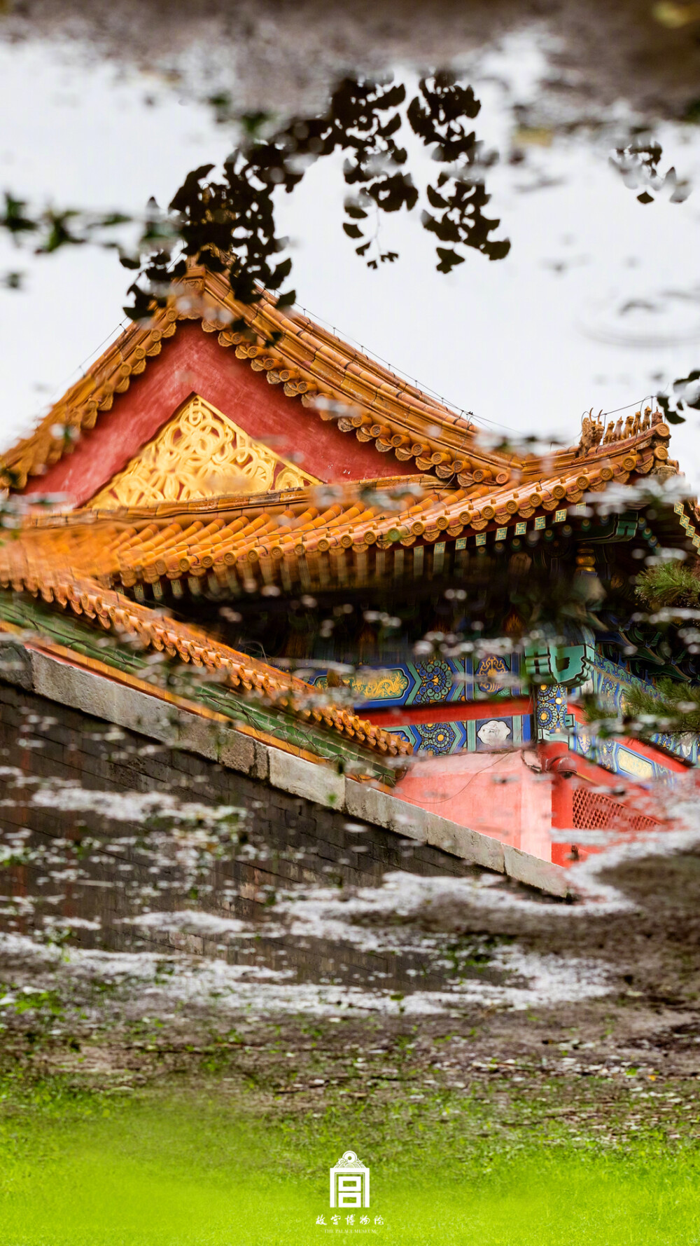 紫禁城【戊戌•雨后初晴】“小雨初晴回晚照。金翠楼台，倒影澄明境” 照片文字取自@故宫博物院