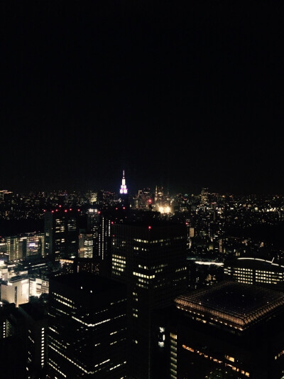 东京市政府 都厅展望台夜景 