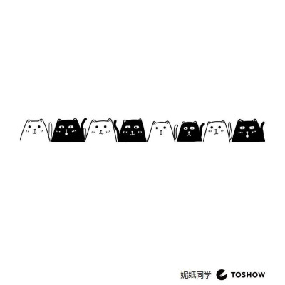 黑白卡通 猫
