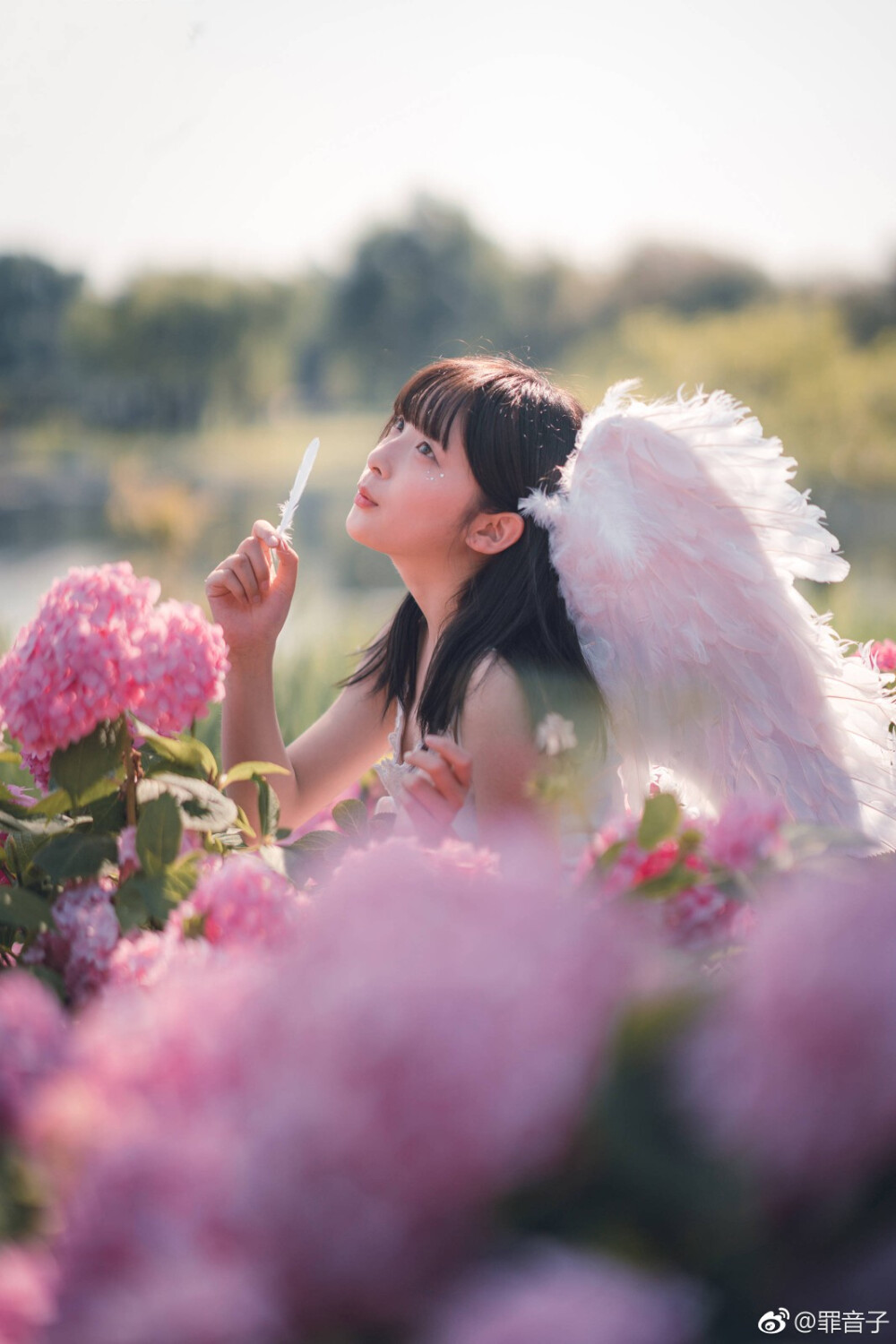 #夏季物语##花物语#
『六月的夏天
最美不过绣球花』
出境:@罪音子
摄影:@内田真遥 ​​​