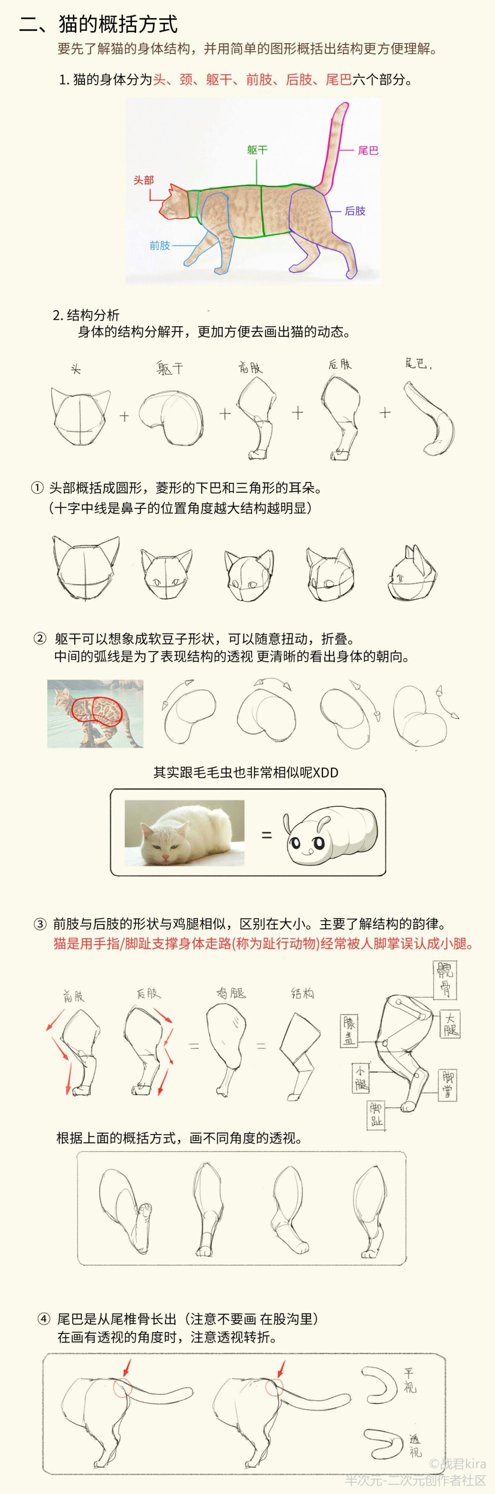 猫猫