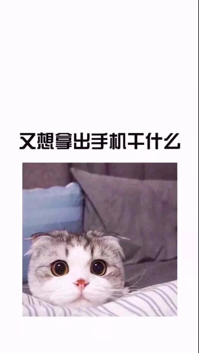 可爱