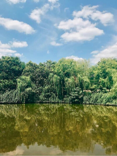 森［ 这就是我的人间 荆棘遍地 陷阱重重 笑时不知为何笑 哭时不知为何哭 几十年来我刨食其中 掀翻山河 掘地千尺 终于找到了我要的东西 有时我会为之快活 但更多时候 我宁愿自己从没来过 .］