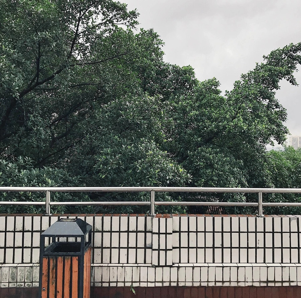 森［ 我搁笔含情
从唐诗宋词再到清明烟雨
三千痴缠也不够喻你
.］