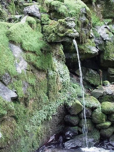 古代建筑的“疏水神”，近日来全国各地的连降暴雨，不禁让人想知道从古至今建筑是如何排水的？建筑排水构件中最显眼也最华丽的一个“滴水嘴兽”，这个词你可能很陌生，但是看它的样子你一定很熟悉，当你路过那些华丽繁复的建筑时不知你是否注意到他，是否想到他的初始功能是排水。 ​