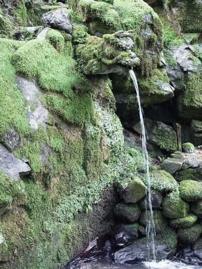 古代建筑的“疏水神”，近日来全国各地的连降暴雨，不禁让人想知道从古至今建筑是如何排水的？建筑排水构件中最显眼也最华丽的一个“滴水嘴兽”，这个词你可能很陌生，但是看它的样子你一定很熟悉，当你路过那些华丽…