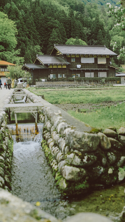 日本的夏天摄影师：@土司在拍照 ​