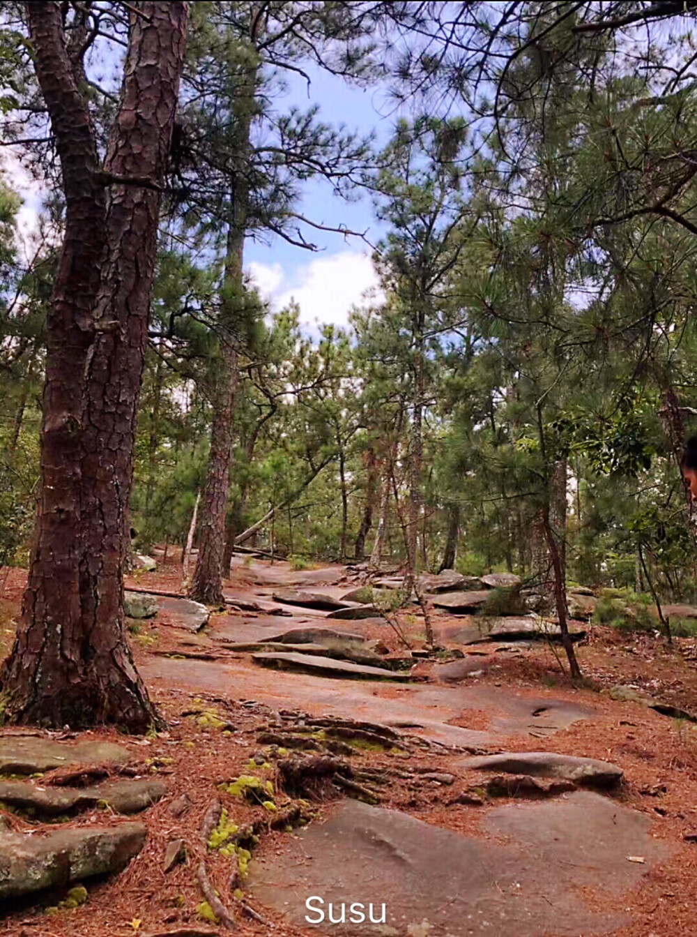 
佐治亚石山坐落在美国东南部佐治亚州首府亚特兰大的远郊，以此山为中心，建成了一坐风光秀丽，别开生面的大型游乐中心，即闻名遐尔的佐治亚石山公园。
佐治亚石山是世界上最大的整石花岗岩石山之一，整座石山是由一块完整的巨石，经长期日晒雨淋侵蚀而成的，被人们称为“世界的第八大奇观”
这座大石头山非常的壮观,每年都会吸引很多世界各地的游客慕名来此观光旅游。