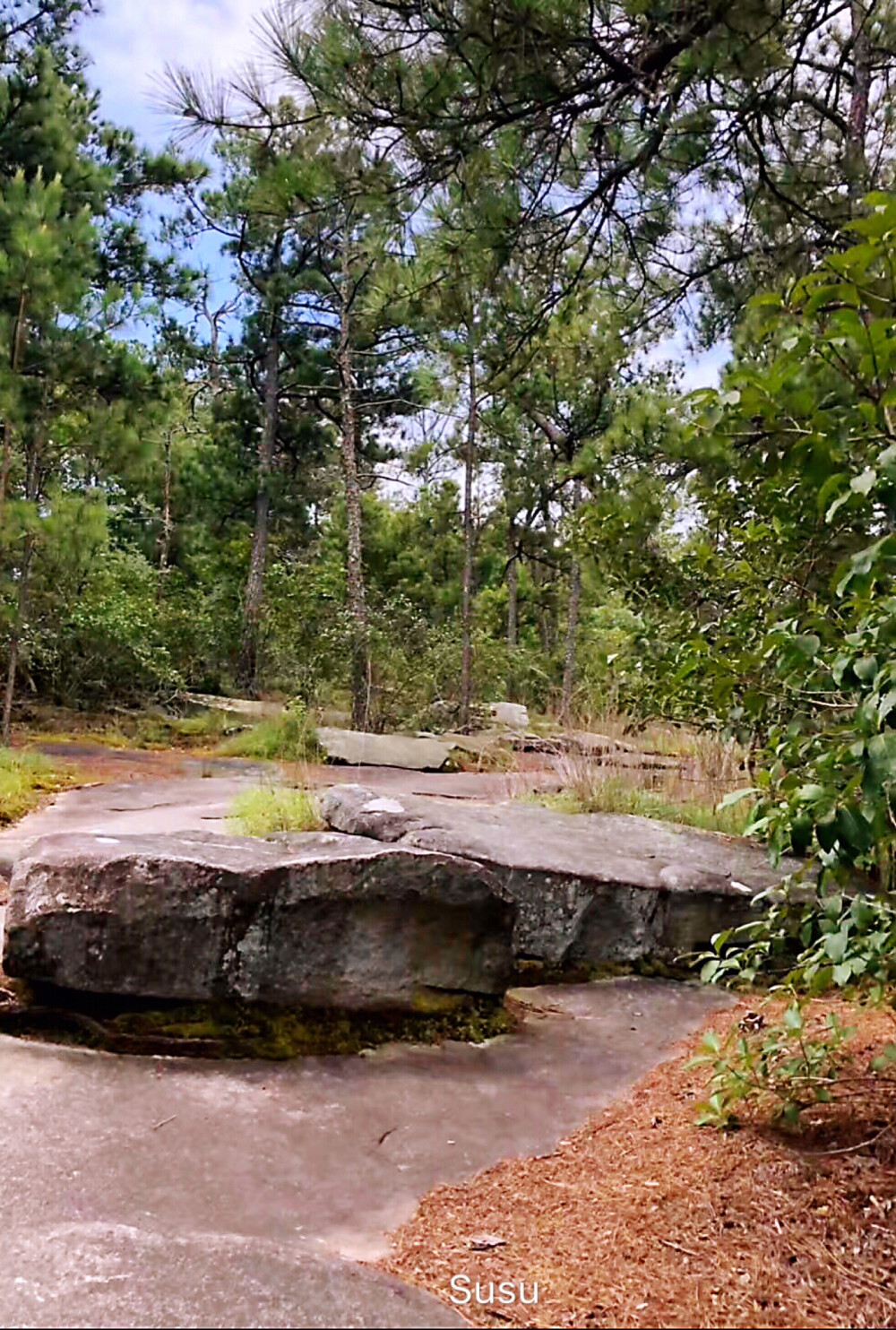 
佐治亚石山坐落在美国东南部佐治亚州首府亚特兰大的远郊，以此山为中心，建成了一坐风光秀丽，别开生面的大型游乐中心，即闻名遐尔的佐治亚石山公园。
佐治亚石山是世界上最大的整石花岗岩石山之一，整座石山是由一块完整的巨石，经长期日晒雨淋侵蚀而成的，被人们称为“世界的第八大奇观”
这座大石头山非常的壮观,每年都会吸引很多世界各地的游客慕名来此观光旅游。