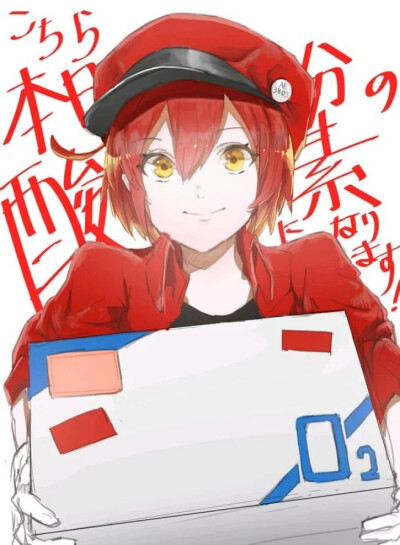 工作细胞-红细胞