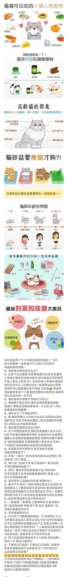 自制猫饭