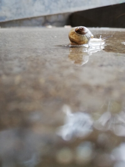 琴房 雨天