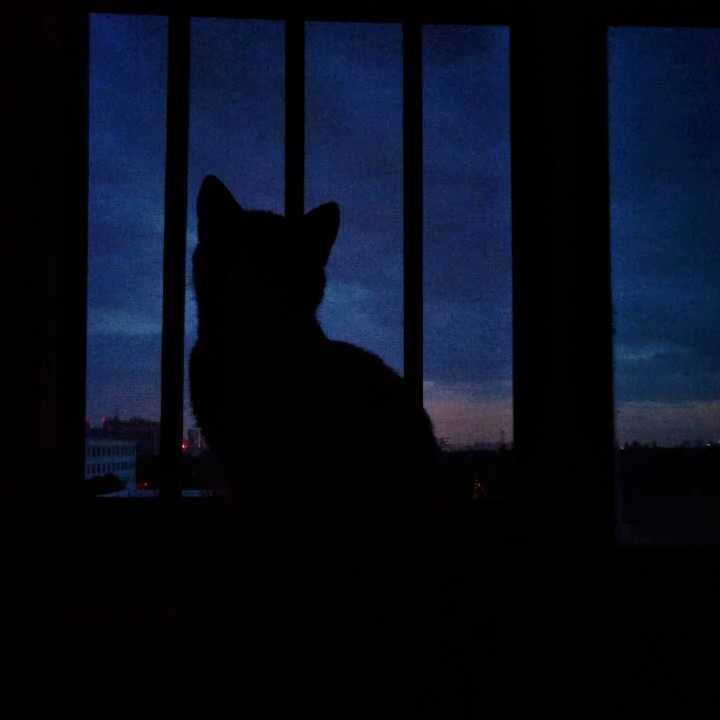 看这神秘的小家伙。
侵权致歉。