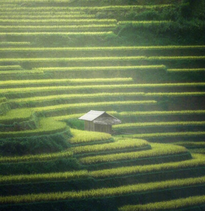 越南最美梯田Mu Cang Chai，神奇的大自然 |摄影师cumacevikphoto ​​​​