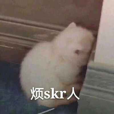 热skr人 本夏最火skr表情包了 ​