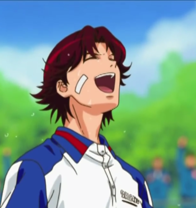 网球王子，越前龙马，菊丸英二