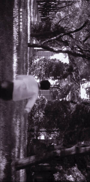 刘昊然 壁纸 背景 头像 高清无水印图