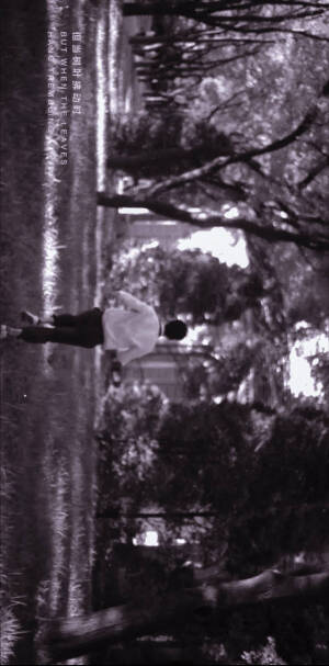 刘昊然 壁纸 背景 头像 高清无水印图