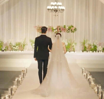 金秘书为何那样