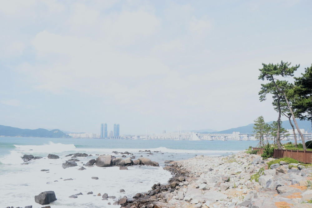  远处的蓝海泛着粼粼微光，那股海腥味似乎还若有若无地停驻在鼻尖。洁白柔软的云层像是从岛上青翠的群山生长出来，温柔地投下一片阴影。是济州啊