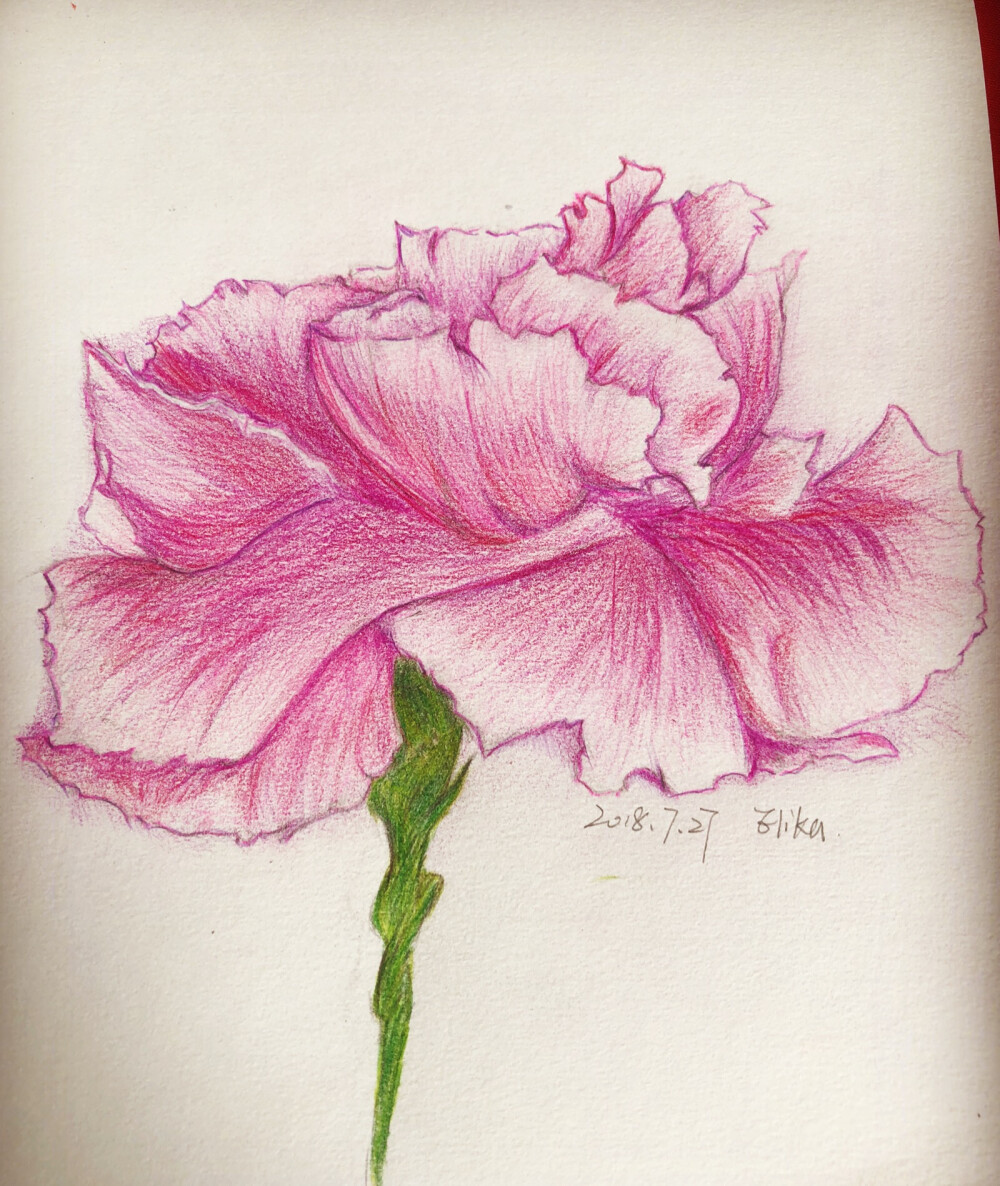 谁能看出来这是啥